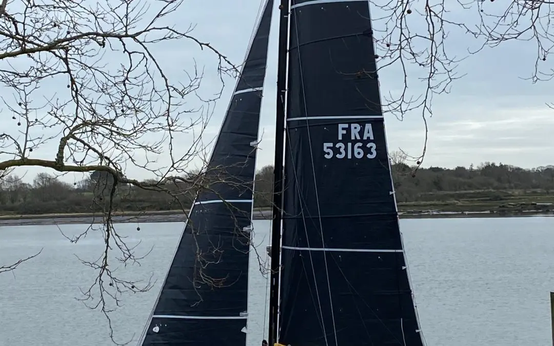 Dazcat 1195 Rock Steady is now ‘race ready’!