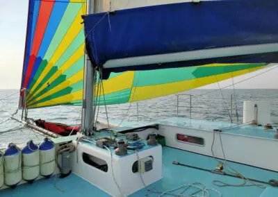 Lilly KSS-R-30