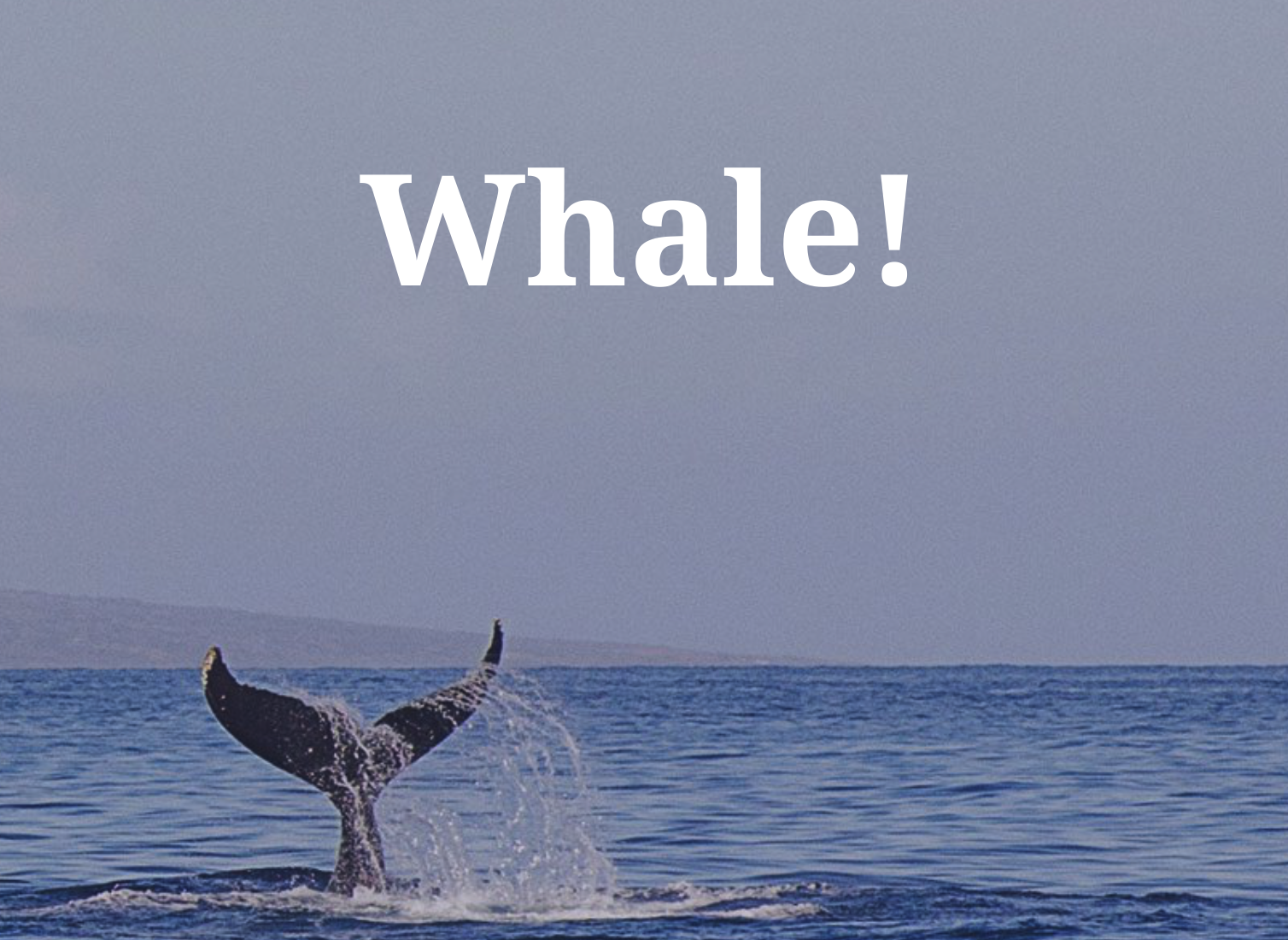 Screenshot 2026-08-29 at 13.56.42 large whale tail coming out of the water