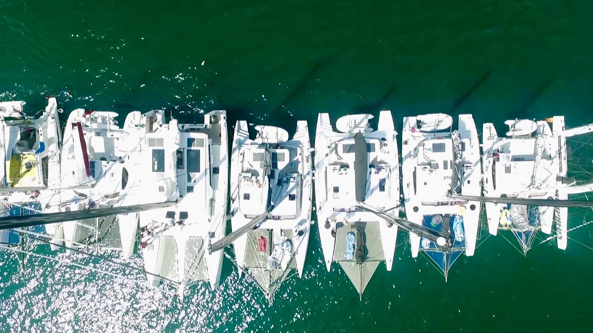 dazcat line up boating is good for you - dazcats