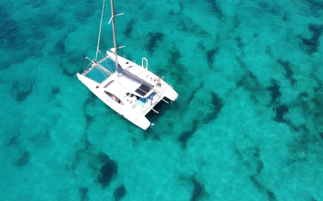 Dazcats on Charter – Part One