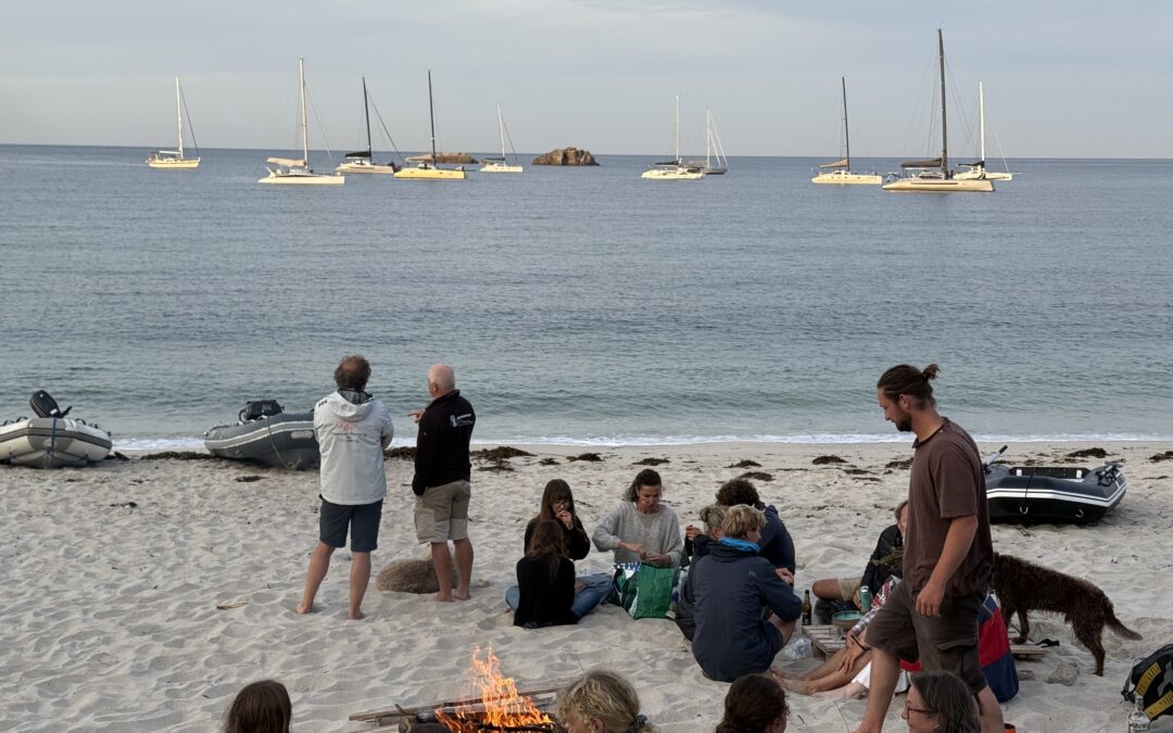 Massive Multihull Meet-Up